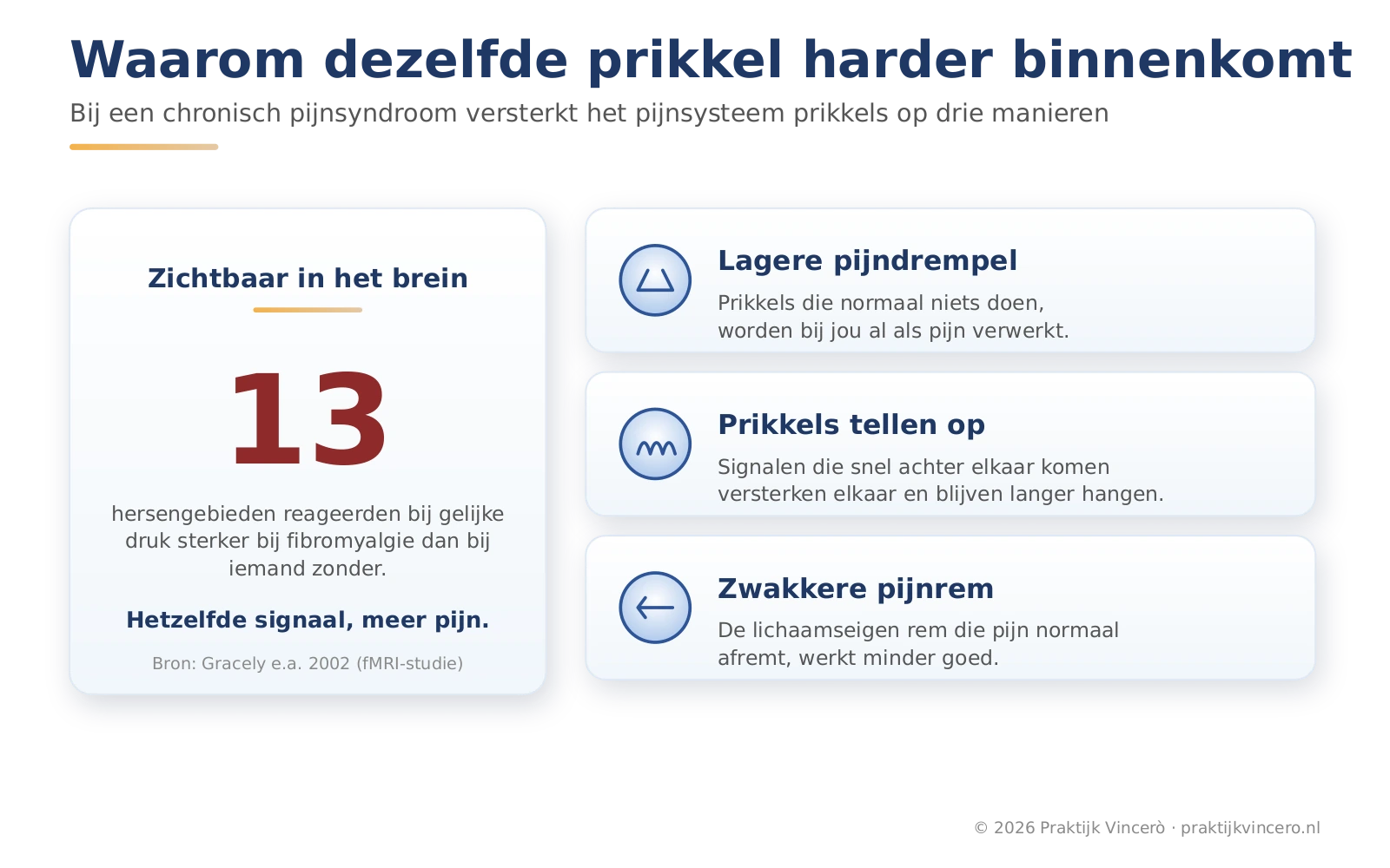 Schema met de drie manieren waarop een chronisch pijnsyndroom prikkels versterkt (een lagere pijndrempel, prikkels die optellen en een zwakkere lichaamseigen pijnrem), naast de hersenbevinding dat bij fibromyalgie minder druk nodig was voor dezelfde pijn.