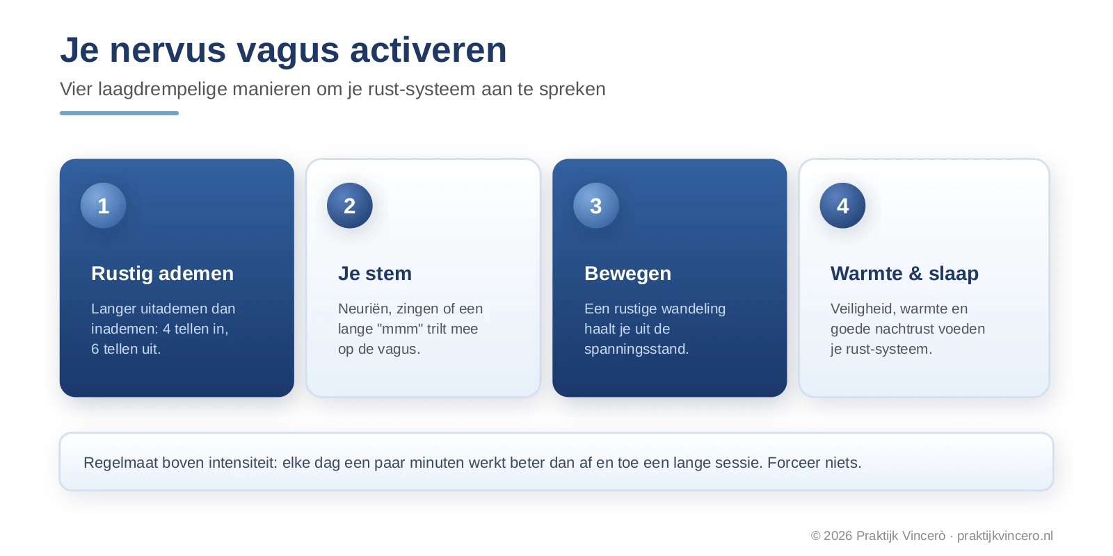 Infographic met vier manieren om de nervus vagus te activeren bij PDS: rustig ademen met een lange uitademing, neuriën of zingen, in beweging komen, en zorgen voor warmte, veiligheid en goede slaap
