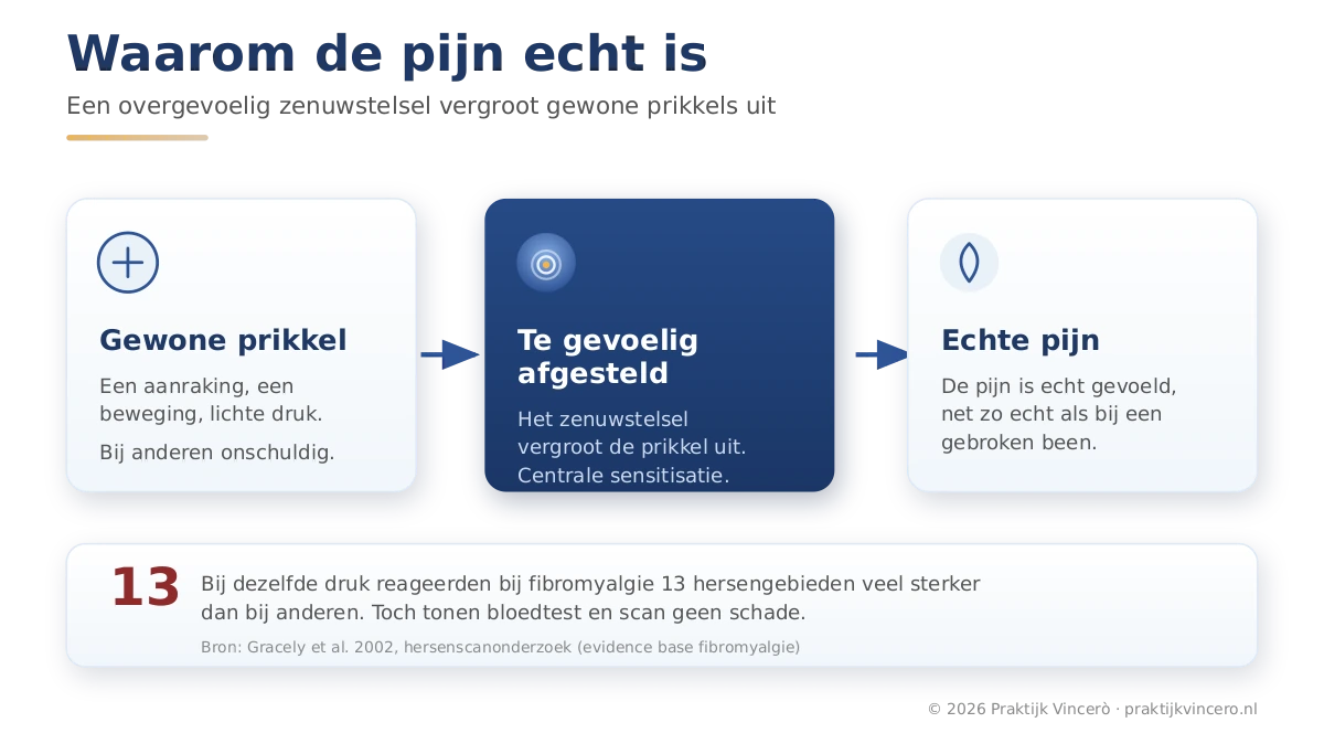 Schema dat laat zien hoe centrale sensitisatie werkt: een gewone prikkel komt binnen, het zenuwstelsel staat te gevoelig afgesteld en vergroot het signaal uit, en er ontstaat echte pijn zonder dat er weefselschade is.