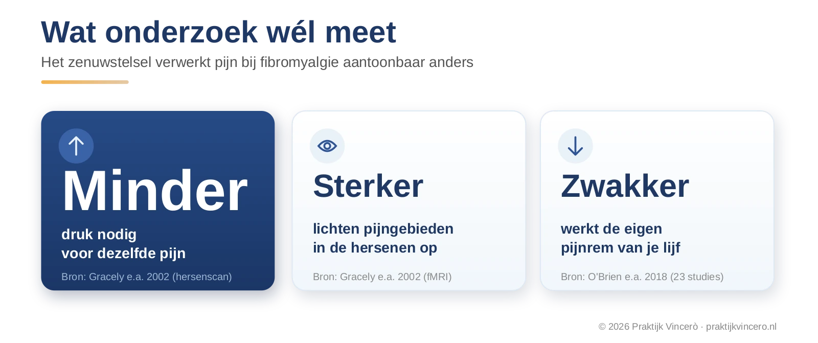 Hersenscanonderzoek bij fibromyalgie in beeld: minder druk nodig voor dezelfde pijn, sterkere activatie van pijngebieden in de hersenen en een minder goed werkende lichaamseigen pijnrem.