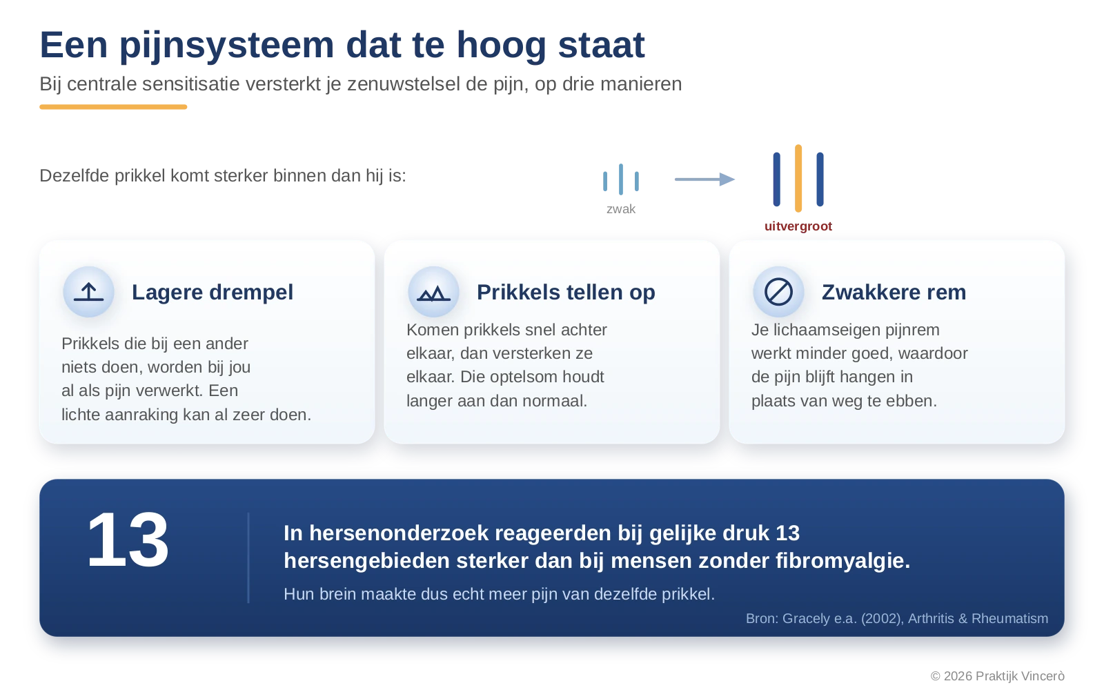 Visual die laat zien dat het pijnsysteem bij fibromyalgie alle signalen versterkt: een lagere pijndrempel, prikkels die optellen en een zwakkere lichaamseigen pijnrem.