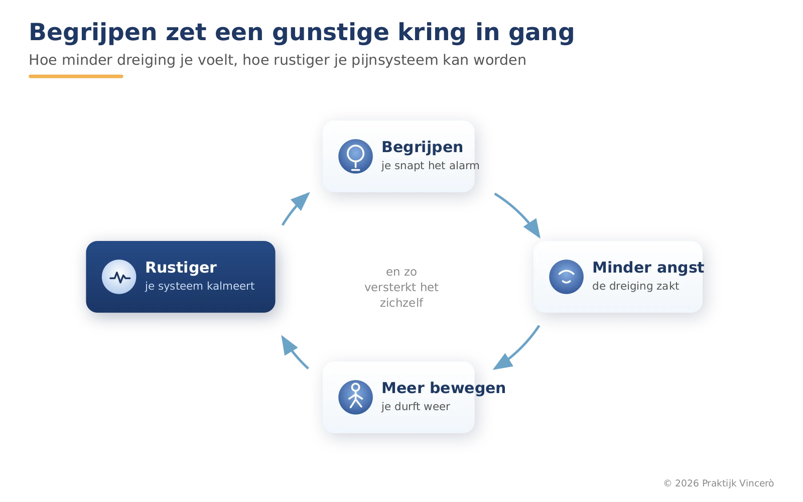 Een cirkel van vier stappen met pijlen ertussen. Begrijpen leidt tot minder angst, minder angst tot meer bewegen, meer bewegen tot een rustiger zenuwstelsel, en dat versterkt het begrijpen weer.