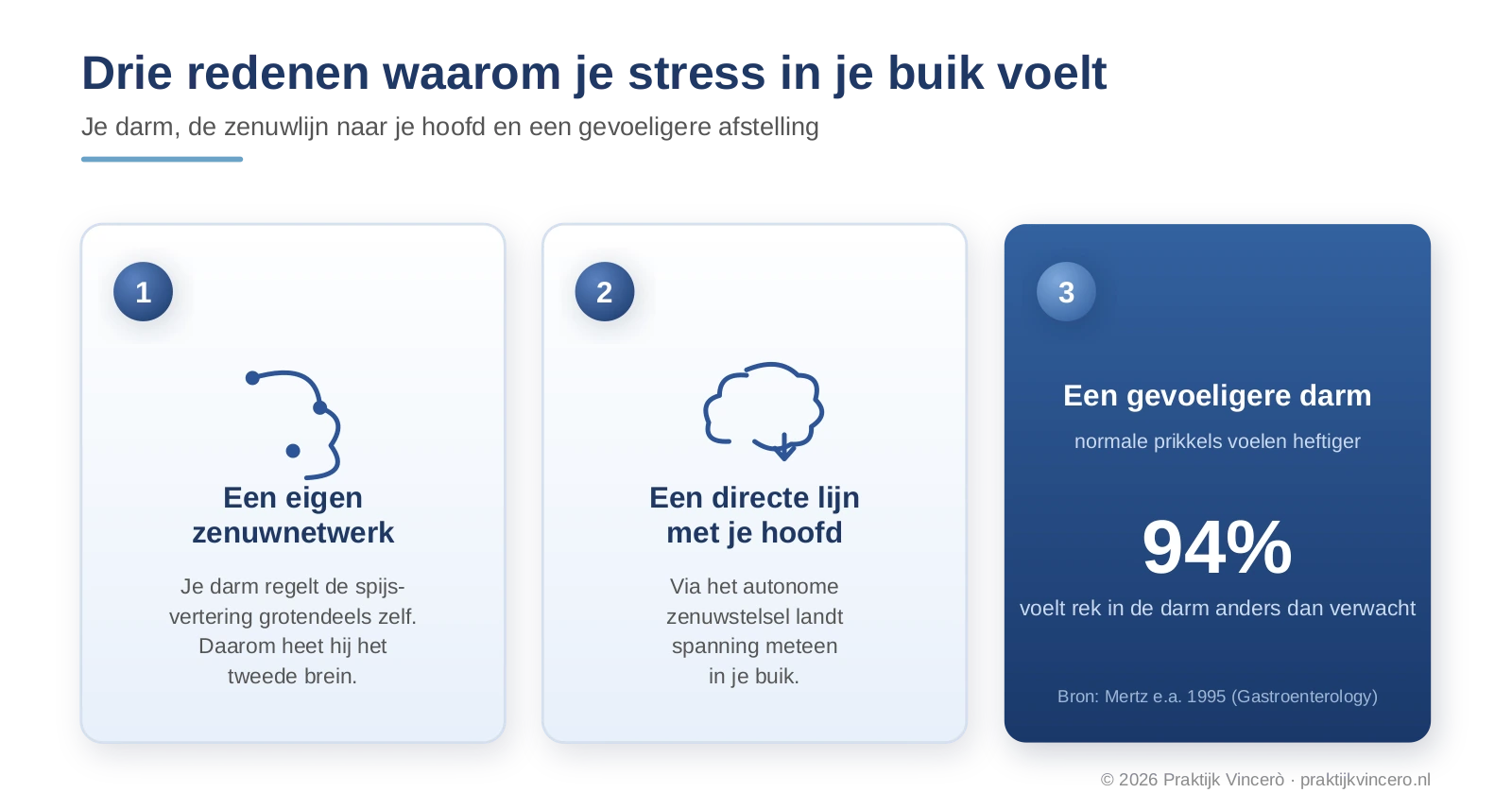 Infographic met drie genummerde redenen: 1 je darm heeft een eigen zenuwnetwerk, 2 een directe zenuwlijn tussen brein en darm via het autonome zenuwstelsel, 3 een gevoeligere darm, waarbij 94 procent van honderd onderzochte mensen met PDS rek in de darm anders waarnam volgens Mertz 1995