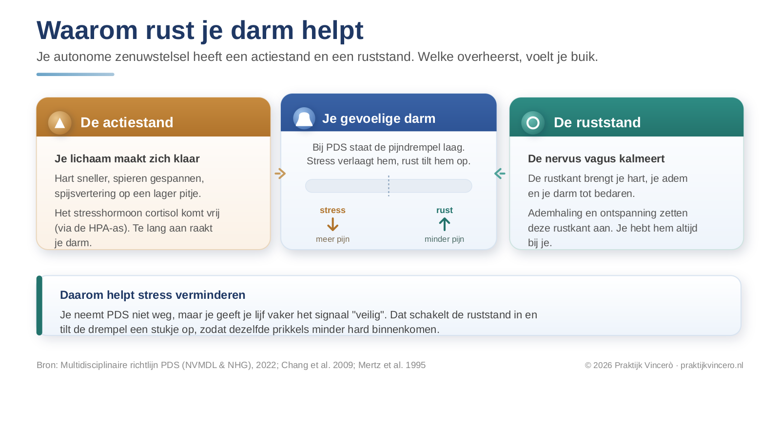 Schema van het zenuwstelsel bij PDS: bij stress schiet het lichaam in de actiestand en reageert de darm heftiger, en via de nervus vagus komt het systeem tot rust waardoor de darm kalmeert.