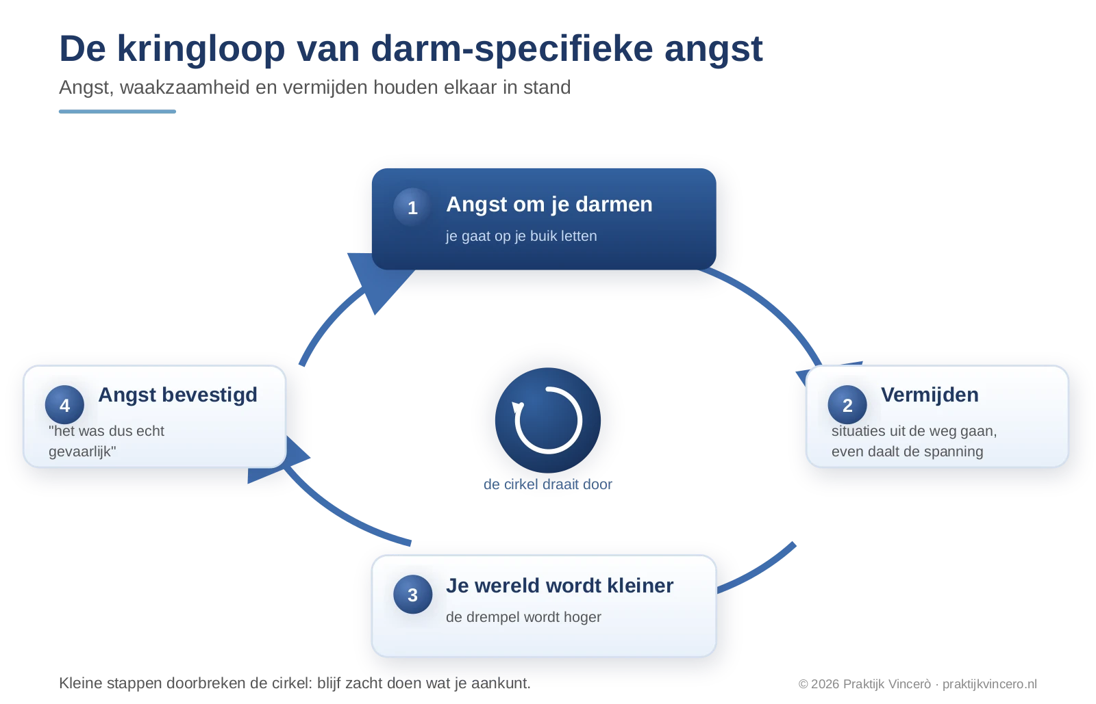 De kringloop van darm-specifieke angst: angst leidt tot waakzaamheid en vermijden, vermijden bevestigt de angst en maakt je wereld kleiner